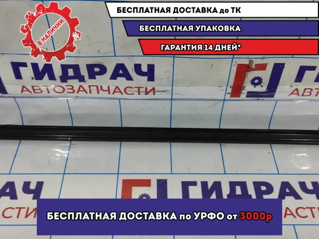Накладка стекла двери передней правой Datsun On-Do 8450072553.