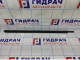 Накладка стекла двери передней правой Datsun On-Do 8450072553.