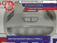 Плафон салонный Datsun On-Do 264105PA1B.