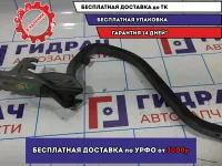 Петля крышки багажника левая Datsun On-Do 84401-5PA0B.