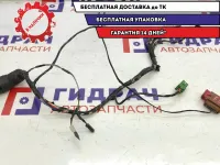 Проводка двери передней левой Datsun On-Do 8450061207.