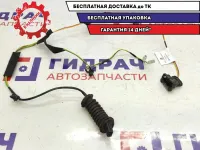 Проводка двери задней правой Datsun On-Do 8450001402.