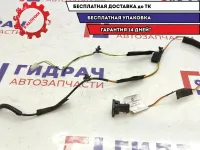 Проводка двери задней левой Datsun On-Do 8450001402.