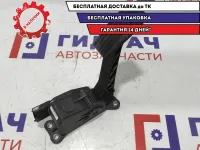 Педаль газа Datsun On-Do 18002-5PA0A.