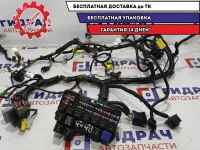 Проводка салонная подторпедная Datsun On-Do 8450100685.