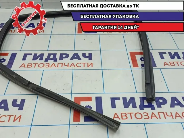 Уплотнитель стекла двери задней левой Datsun On-Do 823315PA0B.