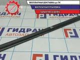 Уплотнитель стекла двери задней левой Datsun On-Do 82834-5PA0A. Внутренний.
