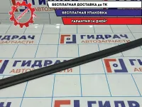 Уплотнитель стекла двери передней левой Datsun On-Do 808085PA0A. Внутренний.