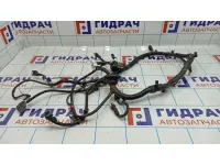 Проводка подкапотная (коса) Datsun On-Do 8450100673.