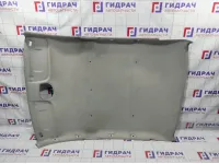 Обшивка потолка Datsun On-Do 8450060757