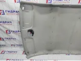Обшивка потолка Datsun On-Do 8450060757