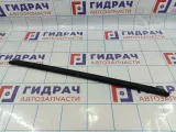Уплотнитель стекла двери задней правой Datsun On-Do 8450001731
