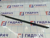 Накладка стекла переднего правого Datsun On-Do 8450072553