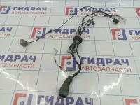 Проводка двери передней правой Datsun On-Do 8450061206