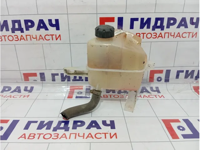 Бачок расширительный Datsun on-DO 217105PA0A