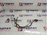 Проводка двери передней левой Datsun on-DO 219503724545