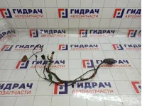 Проводка двери передней левой Datsun on-DO 219503724545