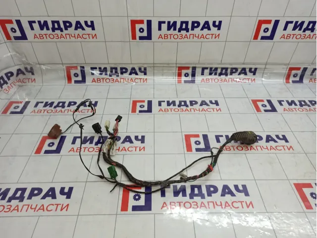 Проводка двери передней левой Datsun on-DO 219503724545