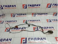 Проводка двери передней правой Datsun on-DO 219503724544