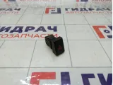 Кнопка аварийной сигнализации Datsun on-Do 252905PA0B