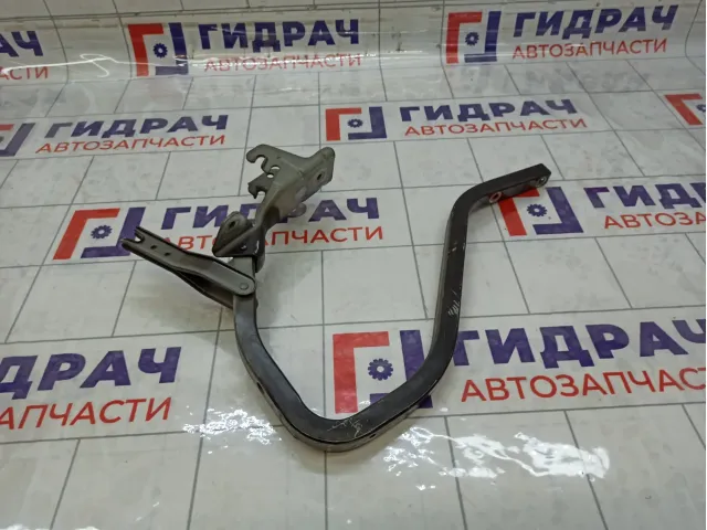 Петля багажника правая Datsun on-Do 844005PA0B