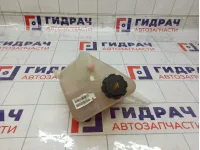 Бачок расширительный Datsun on-Do 217105PA0A