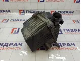 Корпус воздушного фильтра Datsun on-Do 165015PA0E