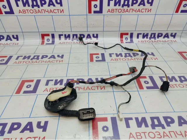 Проводка двери задняя левая Dodge Caliber 4795575AD