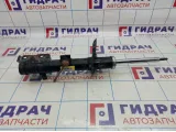 Амортизатор передний левый Dodge Caliber 05105311AH