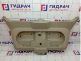 Обшивка двери багажника Dodge Caliber 1AJ40DKAAC