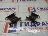 Петли двери багажника Dodge Caliber