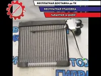 Испаритель кондиционера Geely Emgrand EC7 1067000250 Отличное состояние.