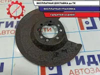 Пыльник тормозного диска Ford Focus 2 1233491.