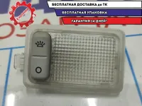 Плафон салонный Ford Focus 2 1430854.