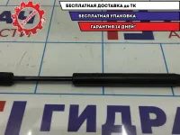 Амортизатор крышки багажника Ford Focus 2 1692162.