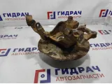 Кулак поворотный задний левый Ford Kuga (CBS) 2073015.