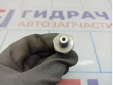 Датчик давления топлива Ford Kuga (CBS) 1729436.