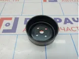 Шкив водяного насоса Ford Kuga (CBS) 5070484.