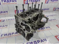 Блок двигателя Ford Kuga (CBS) 1741695.