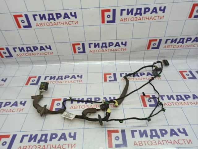 Проводка двери задней левой Ford Kuga (CBS) 1832402.