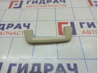 Ручка внутренняя потолочная Ford Kuga (CBS) .