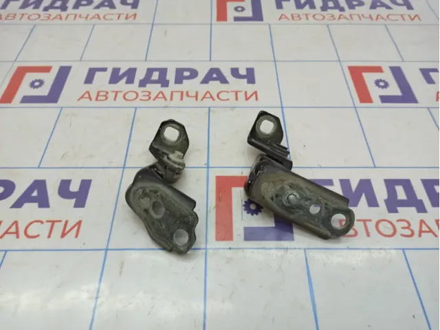 Петли двери передней левой Ford Kuga (CBS) .