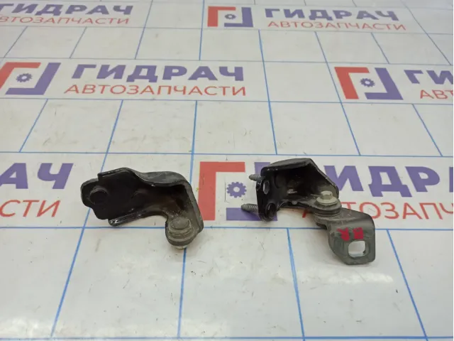 Петли двери задней правой Ford Kuga (CBS) .