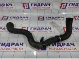 Патрубок интеркулера Ford Kuga (CBS) CV6Z6C640G.