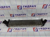 Интеркулер Ford Kuga (CBS) BV619L440AF.