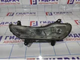Фара противотуманная левая Ford Kuga (CBS) CV4413B221.