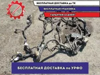 Проводка двигателя Infiniti FX45 24077CG200.