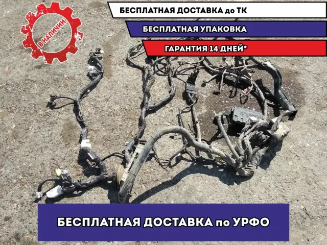 Проводка двигателя Infiniti FX45 24077CG200.