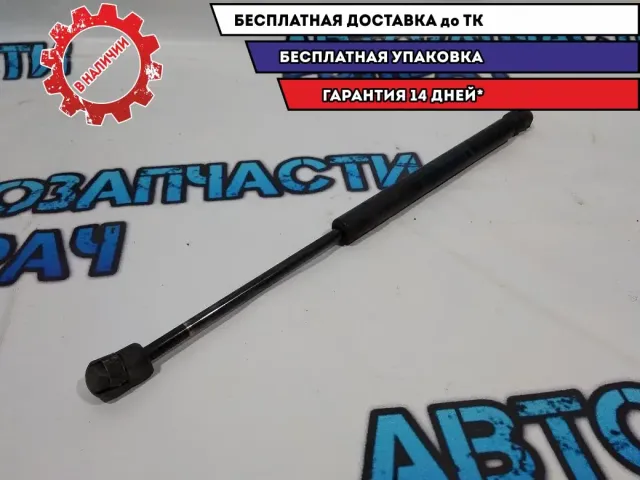 Амортизатор капота Infiniti FX45 65470CG000 .