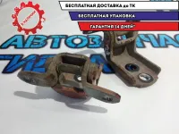 Петли двери передней левой Infiniti FX45.